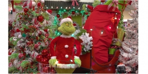 Experience the Joy of Shopping for Christmas Decorations at DW